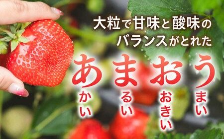 糸島産 完熟あまおう 280g×2パック (デラックスサイズ) 糸島市 / 小河農園 いちご フルーツ 果物 [AJN001]