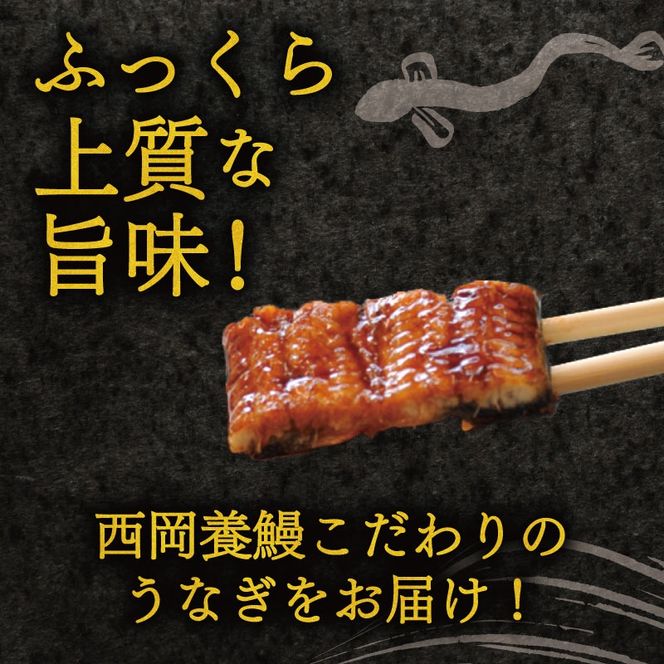 完全無投薬 きざみうなぎ 1000g ( 100g × 10袋 ) 国産 うなぎ蒲焼 国産うなぎ 鰻 きざみうなぎ蒲焼 うなぎ蒲焼き 刻みうなぎ 刻みウナギ ウナギ 鰻 冷凍 パック カット 真空パック 小分け 湯煎 簡単調理 個食 うなぎ 鰻 人気 養殖 ウナギ うなぎ おすすめ うなぎ かばやき うなぎ 高級 特別 贅沢 うなぎ 鰻 ひつまぶし うなぎ ウナギ 夏 鰻 高知県安芸市/西岡養鰻