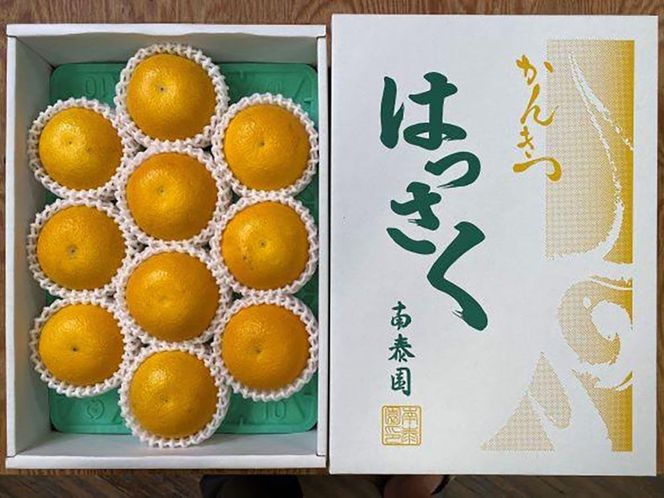 4月 まで 木成 完熟 させた 有田 はっさく 特秀 M × 10玉 化粧箱 南泰園 みかん  	BS756