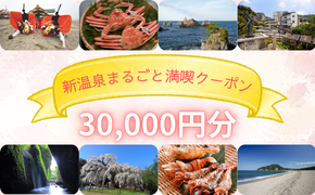 新温泉まるごと満喫クーポン(30,000円分)