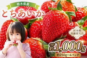 ns120-001 栃木県産 とちあいか約250g×4パック 【栃木県共通返礼品】