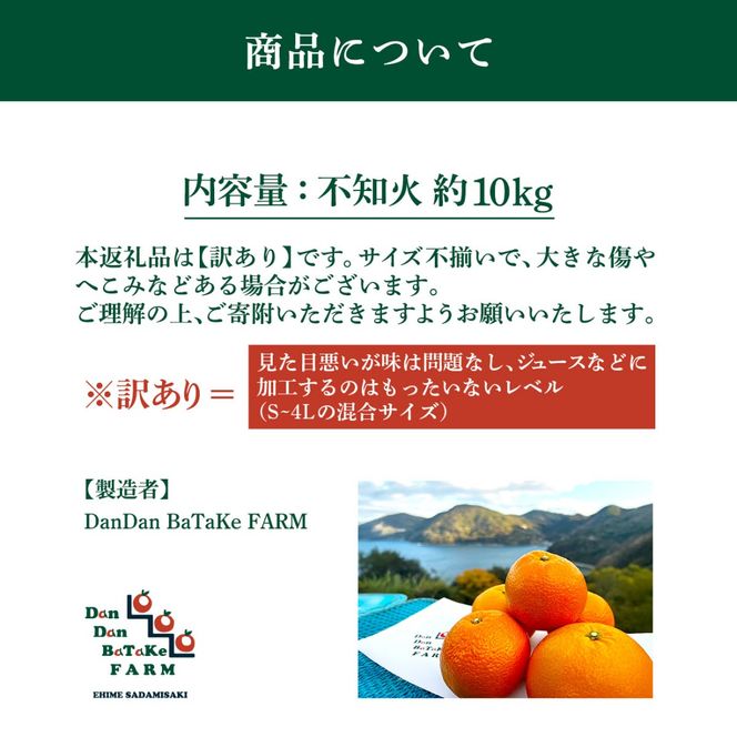 【先行予約】【訳あり】不知火 約10kg | 柑橘 みかん 果物 フルーツ 愛媛県産 農家直送　※離島への配送不可　※2027年2月下旬より順次発送予定 IKTAU009