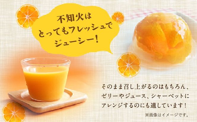 森田果樹園の不知火 10kg 20～32個程度　《2027年2月中旬-4月下旬頃出荷》森田果樹園 果物 フルーツ 柑橘 熊本---hkw_mtk_8_10kg---