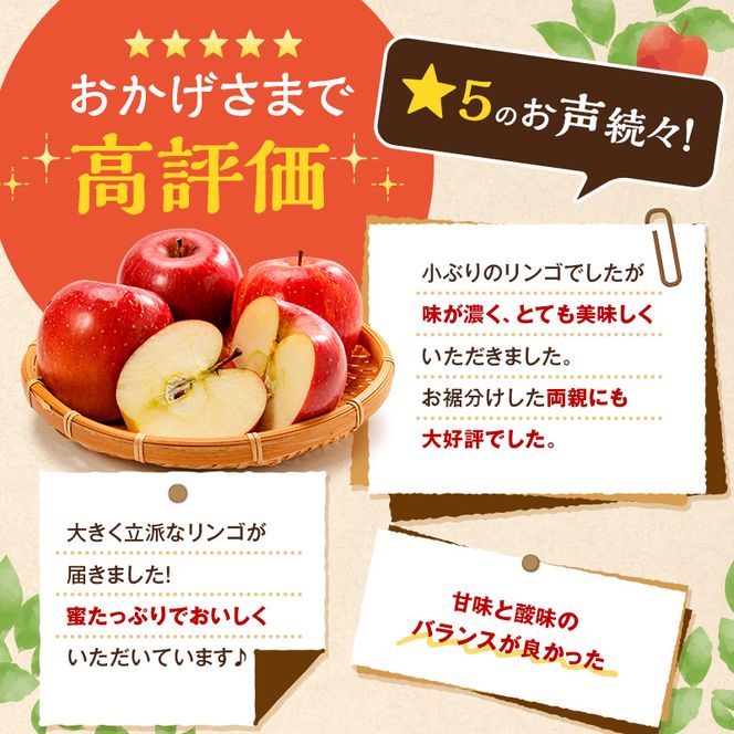 【2026年11月下旬～発送予定】 先行予約 訳あり りんご サンふじ 小玉 約10kg フルーツ 果物 林檎 甘い 訳あり