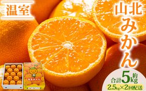 【2回定期便】山北温室みかん 2.5kg Wku-0061