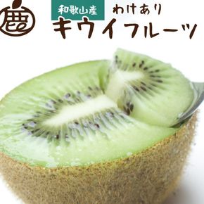 ［先行予約］わけあり キウイ0.6kg+250g（傷み補償分）［わけあり・訳あり・扁平果］	CZ209 