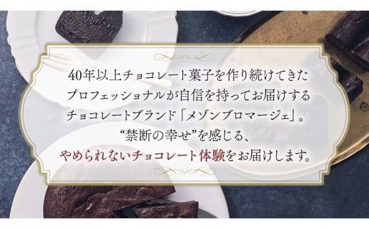 【 禁断の幸せ 】 フォンダンショコラ & テリーヌショコラ セット チョコ チョコレート 生チョコ ショコラ ケーキ デザート スイーツ テリーヌ 贈り物 贈答 ギフト バレンタイン ホワイトデー [CS008ci]