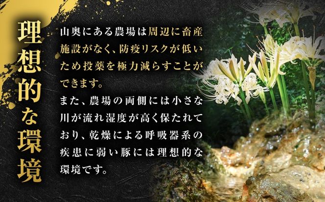 種豚場がお届けする鹿児島伝統の黒豚 黒胡椒の効いた黒豚ウインナー　K125-002