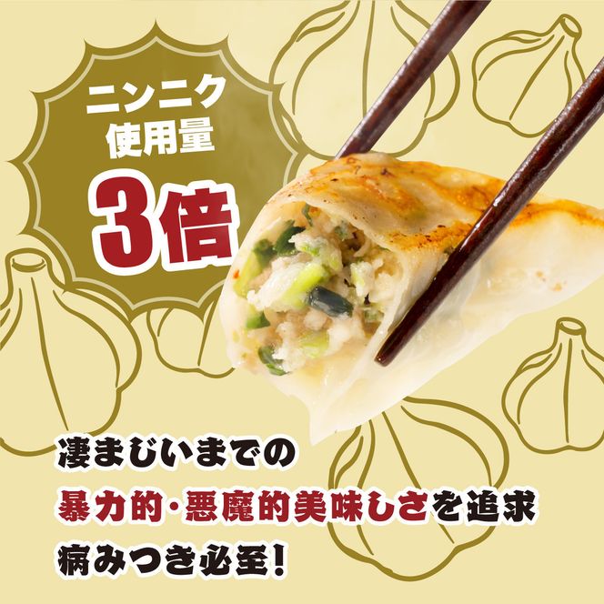 【大阪名物】大阪ふくちぁん 冷凍生餃子×スタミナ餃子冷凍生餃子 ［各36個入×2パック 計72個］ 272183_AY19