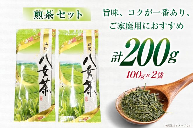 お茶 八女茶 煎茶 セット 100g 2袋 [木村食品 福岡県 筑紫野市 21761043] 茶葉 やめちゃ お茶の葉