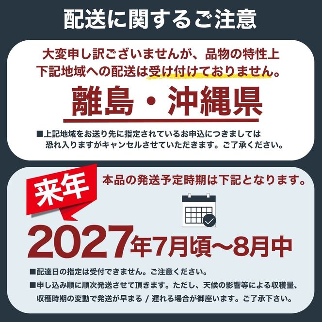 【来年2027年出荷分 先行予約】朝もぎ直送!『山梨県産　桃』約5～8玉 約2kg規格箱入り 白鳳 白桃 【高機能共選機使用】選び抜かれた桃《もも 先行予約》 山梨県産 モモ/ フルーツ 果物 くだもの 甘い 人気 産地直送/厳選  贈答 贈り物【tab0182】