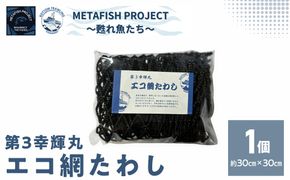 第3幸輝丸 エコ網たわし IKTAM005