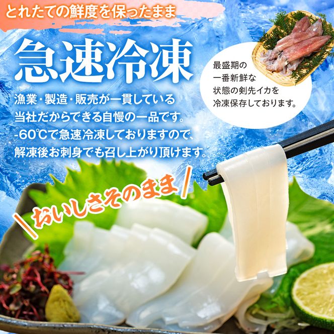 愛知県産　剣先イカ(アカイカ)3袋