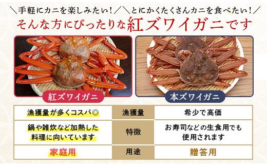 時期が選べる 訳あり 業務用  生冷凍 紅ずわいがにポーション小500g（約50本前後）しゃぶしゃぶ  天ぷら ギフト 2026