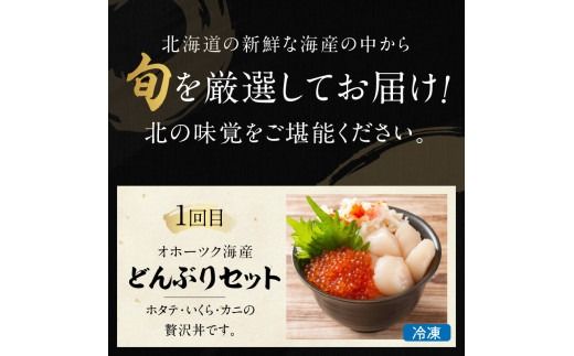 【3ヶ月定期便】船長おすすめ！海の幸セット ( ほたて ホタテ 海鮮丼 ほっけ 鮭 いか サーモン しじみ 定期便 魚介 )【999-0155】