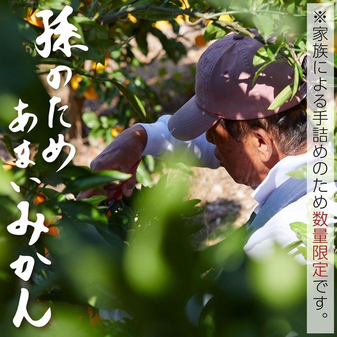 和歌山県有田みかん じぃじのみかん 約5kg EC004