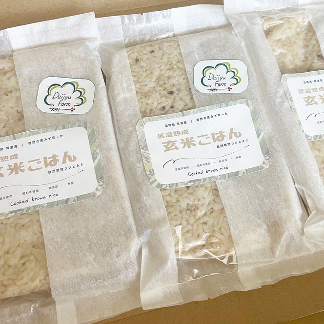 レトルトごはん（玄米） 10パックセット 化学調味料無添加・無菌
