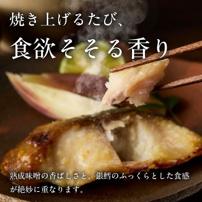 銀鱈みそ漬 10切（5切×2パック）_HD139-018