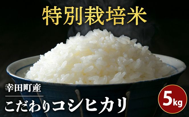 令和8年産 幸田町産 特別栽培米 こだわり コシヒカリ 5kg
