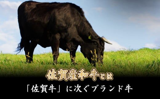 【佐賀産和牛】モモブロック（タタキ・ローストビーフ・焼肉等）600g B-1062