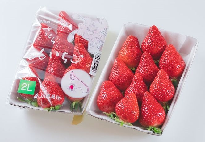 【CF】さくらももいちご (4パック入り) 　《1月上旬-3月末頃に出荷予定》 【配送不可地域あり】※離島への配送不可---sanagouchi_hss_6_4p---