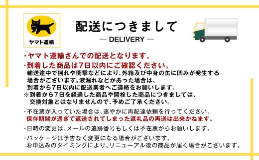 アサヒ ザ・リッチ 350ml 24本 2ケース 合計48本 | アサヒビール 酒 お酒 発泡酒 新ジャンル 第3のビール アサヒ ザリッチ 24缶 2箱 合計48缶 茨城県 守谷市 送料無料