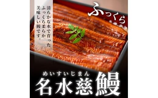 【数量限定】鹿児島県産うなぎ蒲焼 名水慈鰻 12尾(1尾約120g以上)＜計約1.6kg以上＞ f2-003