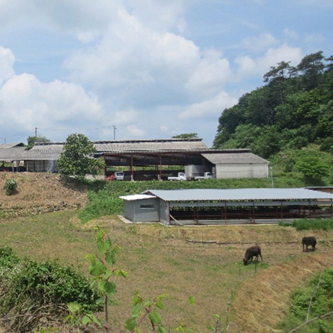［農林水産大臣賞受賞］備中牛 和牛すき焼き用スライス 500g 岡山県産 黒毛 和牛 肉 お肉 牛肉 牛