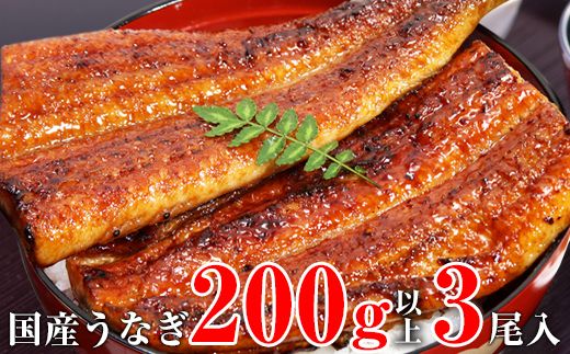 1175.超特大国産うなぎ3本セット(1尾：200~229g)(A1175-1)