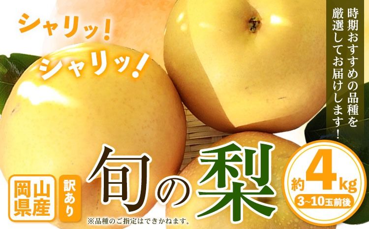 訳あり 岡山県産 旬の梨 約4kg 3〜10玉前後 梨 訳あり 優品 新高 愛宕 王秋梨 鴨梨 スイーツ フルーツ デザート 旬 岡山県矢掛町[9月上旬-1月末頃に出荷予定]数量限定---yakage_lcl_41_26---