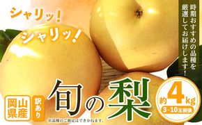 訳あり 岡山県産 旬の梨 約4kg 3～10玉前後 梨 訳あり 優品 新高 愛宕 王秋梨 鴨梨 スイーツ フルーツ デザート 旬 岡山県矢掛町《9月上旬-1月末頃に出荷予定》数量限定---ofn_wsn_af91_26_16000_4---