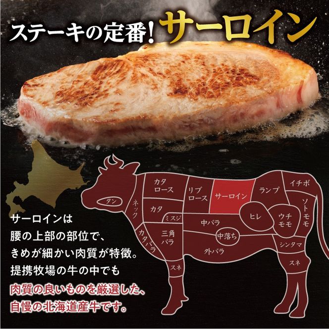 十勝スロウフード 厳選 特選牛サーロインステーキ Lサイズ10枚セット！北海道十勝 清水町 ステーキ 牛肉 サーロインステーキ サーロイン 牛 肉_S006-0012