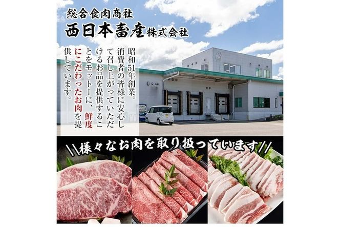 おおいた 和牛 サーロイン ブロック (5kg) 国産 豊後牛 ステーキ BBQ バーベキュー 惣菜 やきにく おかず 百年の恵み 大分県 佐伯市【BD192】【西日本畜産 (株)】