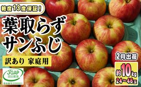 2月発送【糖度保証】家庭用 葉取らず サンふじ 約10kg【訳あり】【鶴翔りんごGAP部会 青森県産 津軽産 リンゴ 林檎】 果物 希少 完熟 JGAP認証 安心 丸かじり 甘い 高糖度 