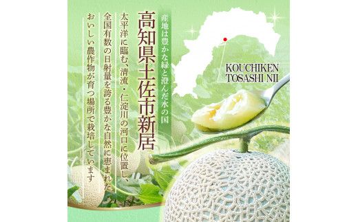 【先行予約】メロン 1玉入（約1.4kg～1.8kg）青肉 〈2027年6月中旬～7月中旬頃発送〉 メロン めろん マスクメロン 舐瓜 果物 くだもの フルーツ デザート 旬 ハウス栽培【株式会社とさもん】[BQAE026]