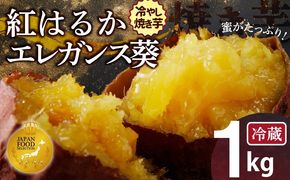 焼き芋 蜜たっぷり！冷やし焼き芋 ひえひえ君 食べ比べ 1kg エレガンス葵＆紅はるか 【ジャパンフードセレクション 金賞】 芋スイーツ　H047-058