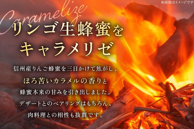 ミード 蜂蜜酒 RING OF FIRE 375ml 1本 [WICKED WAY MEAD 長野県 池田町 48110851] 酒 お酒 はちみつ 蜂蜜 ハチミツ