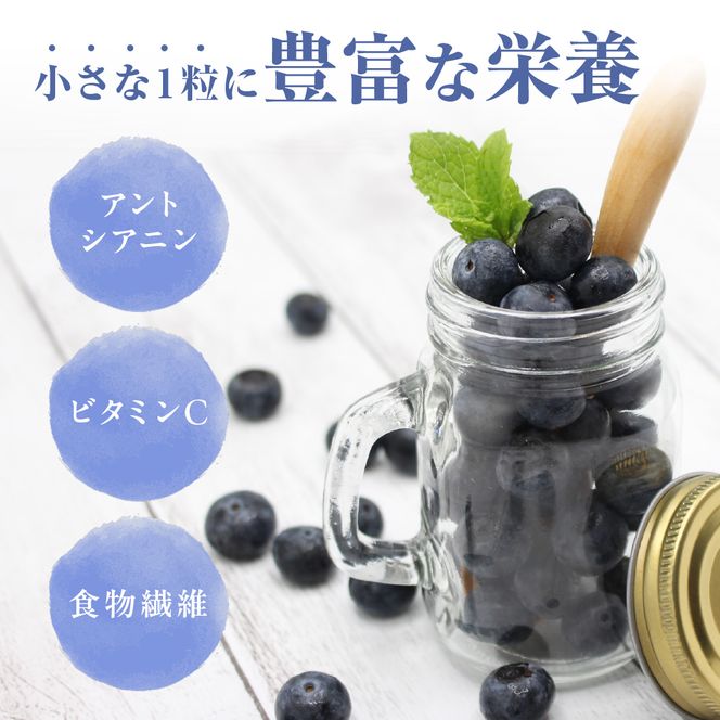 【2026年8月下旬ごろ再開予定】栽培期間中農薬不使用！急速冷凍ブルーベリー 1.2kg 【JAほたるの里】_HA1517