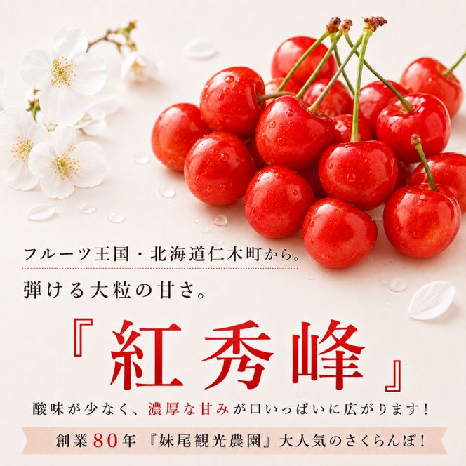 2027年発送 北海道 仁木町産 さくらんぼ 「紅秀峰」 M-L混合 600g (300g×2パック) 国産 旬のフルーツ 旬の果物 デザートサクランボ チェリー フルーツ 果物 果物類 仁木 [フルーツショップ妹尾観光農園] 