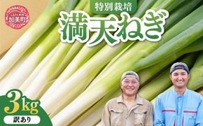 【先行予約】 訳あり 長ネギ 3kg サイズおまかせ（２L/L/Bミックス） 満天ねぎ 加美町産 星農園 | 長ネギ サイズおまかせ 3kg 満天ねぎ 宮城県 加美町 星農園 先行予約 産地直送 甘み 旨味 みずみずしい ジューシー とろみ 鍋 焼きねぎ 炒め物 国産 野菜 | tm-ng-wa03