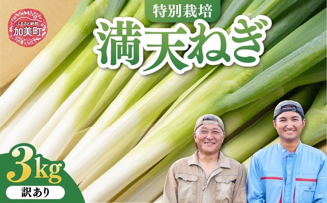 【先行予約】 訳あり 長ネギ 3kg サイズおまかせ（２L/L/Bミックス） 満天ねぎ 加美町産 星農園 | 長ネギ サイズおまかせ 3kg 満天ねぎ 宮城県 加美町 星農園 先行予約 産地直送 甘み 旨味 みずみずしい ジューシー とろみ 鍋 焼きねぎ 炒め物 国産 野菜 | tm-ng-wa03