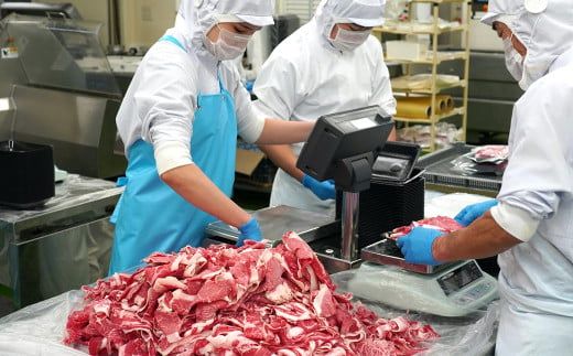 【訳あり】【定期便6ヶ月】淡路牛 切り落し 3kg (300g×10パック）　[小分け 冷凍 牛肉 人気]