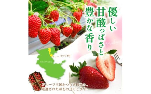 【先行予約】まりひめイチゴ4パック 食べやすいひと口サイズ M～L（15粒～20粒入×4パック）【2027年1月中旬～3月下旬頃に順次発送】（お届け日指定不可）/ いちご 苺 まりひめ 和歌山 フルーツ【kgr034】