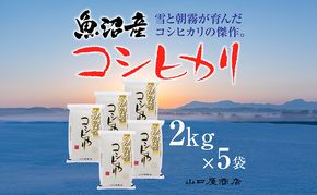 「厳選☆十日町育ち」魚沼産コシヒカリ 2kg×5袋 お米 米 コメ 