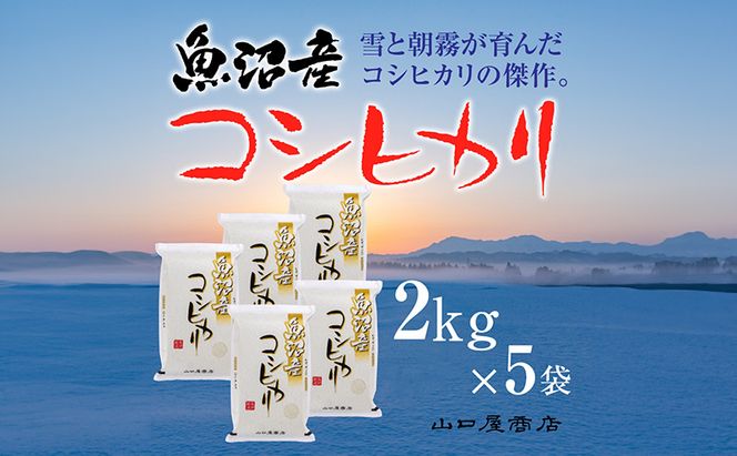 「厳選☆十日町育ち」魚沼産コシヒカリ 2kg×5袋 お米 米 コメ 