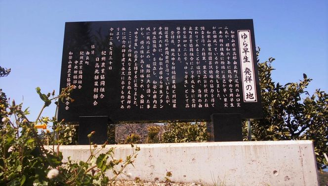 和歌山由良町産 由良早生みかん 約5kg サイズおまかせ(Ｌ・М・Ｓ)いずれかお届け ※2026年10月～発送