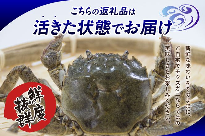 【天然 活生モクズガニ 約2kg 冷蔵】 国産 かに カニ 蟹 天然 活 生 モクズガニ もくずがに 川ガニ 川がに 人気 大人気 おすすめ 返礼品 ふるさと納税 兵庫県 香美町 香住 山米鮮魚 74-33