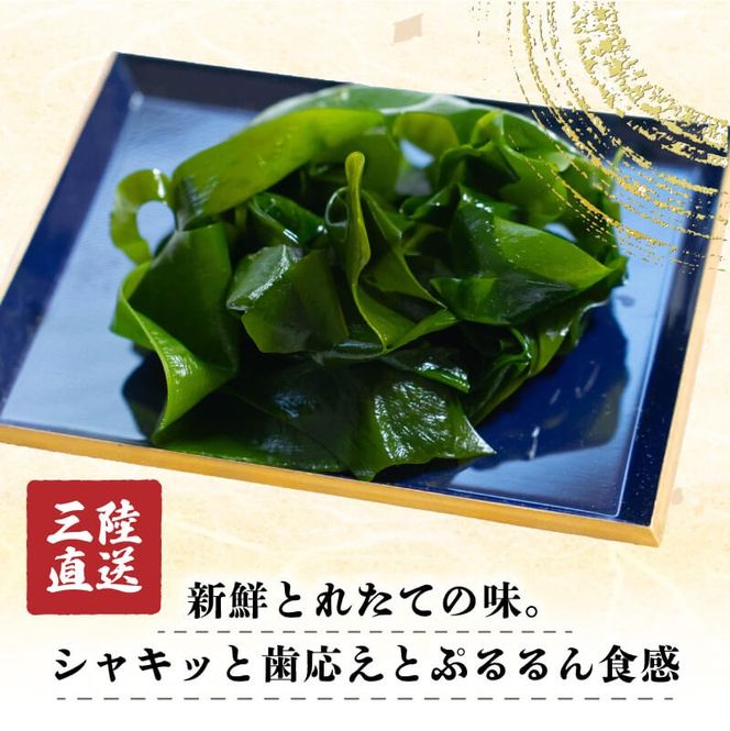 小分け わかめ 三陸産 選べる 8袋 640g (ひと袋 80g) 湯通し塩蔵わかめ ワカメ wakame 若芽 おさしみわかめ 刺身 刺し身 さしみ おさしみ 海藻 国産 味噌汁 みそ汁 スープ 酢の物 料理 ギフト 産地直送 贈答 プレゼント 海産物 岩手 大船渡 送料無料 [kakehata012]