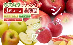 【2026年発送】定期便 3ヶ月 志賀高原季節のりんご定期便3回コース りんご シナノスイート ぐんま名月 サンふじ リンゴ フルーツ 果物 デザート おやつ 長野県 長野 定期 お楽しみ 3回