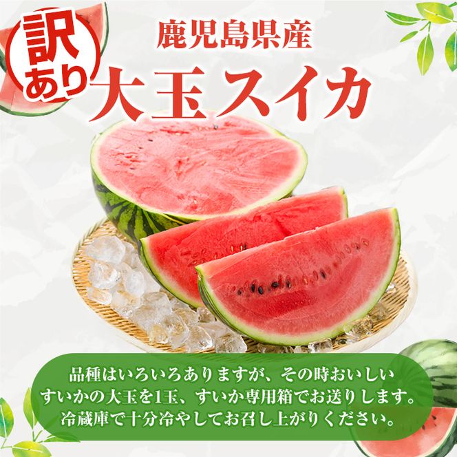 ＜先行予約受付中！2026年6月中旬以降順次発送予定＞追記訳あり！鹿児島県産 大玉スイカ(1玉・約10kg) 国産 果物 スイカ すいか 西瓜 フルーツ スイーツ スムージー ジュース【松永青果】akn053-21